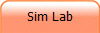 Sim Lab
